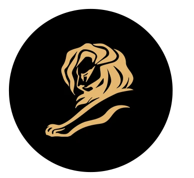Cannes Lion award
